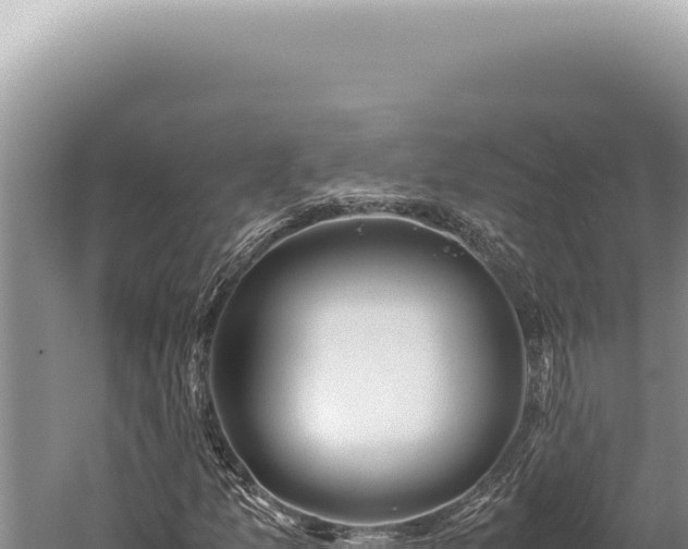 X0000059811157200510281658