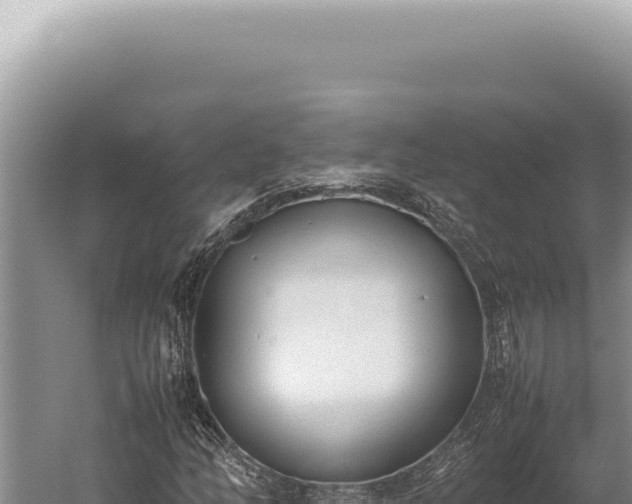 X0000059811158200510281658