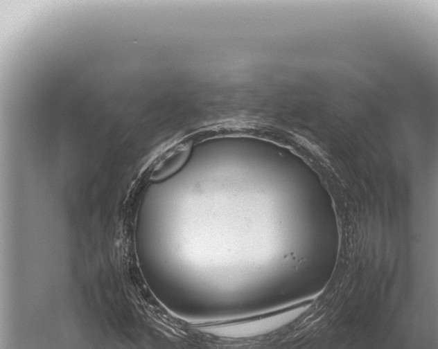 X0000059811160200510281658