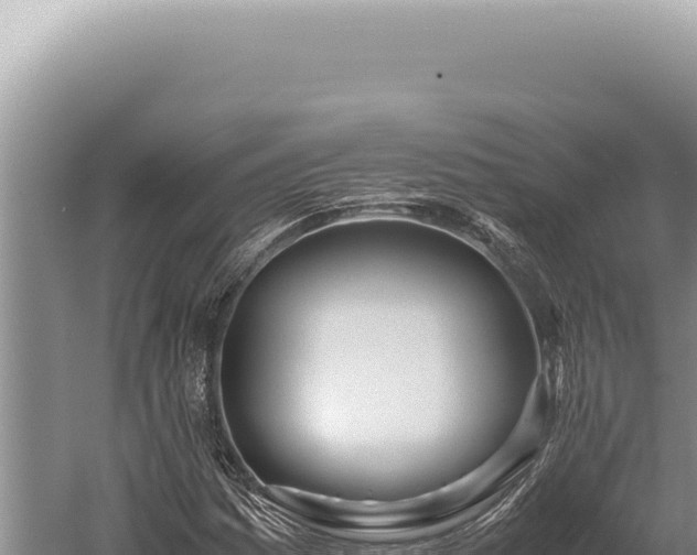 X0000059811161200510281658