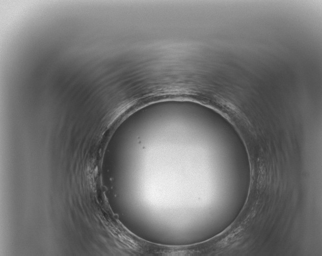 X0000059811162200510281658