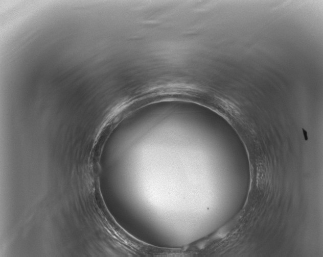 X0000059811164200510281658