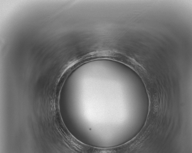 X0000059811166200510281657