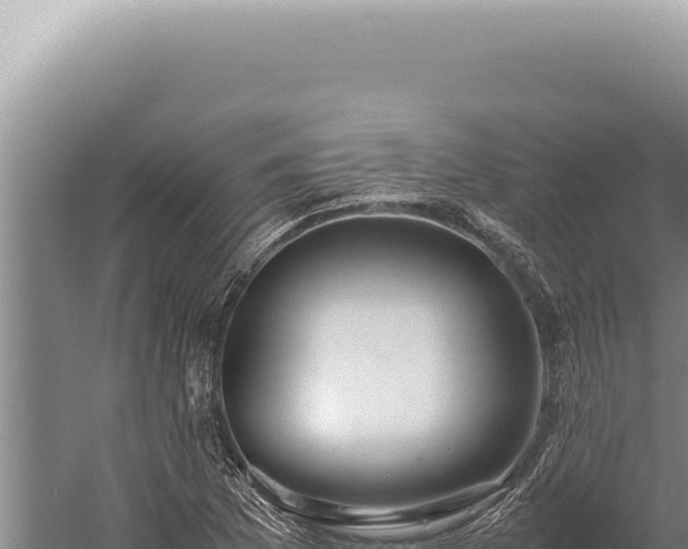 X0000059811169200510281657