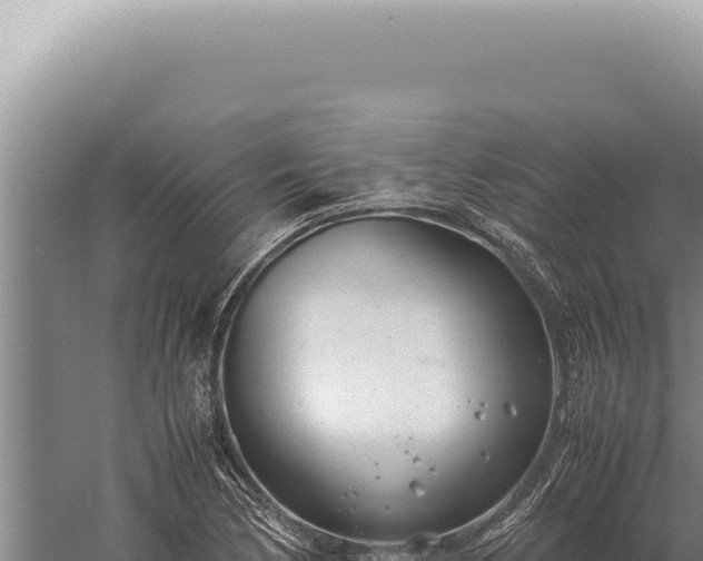 X0000059811170200510281657