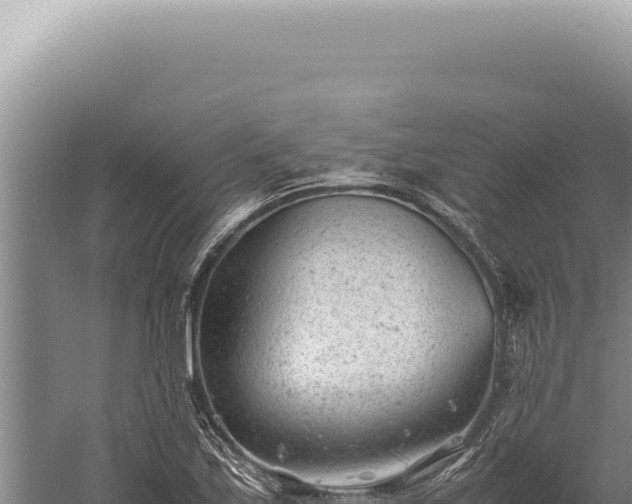 X0000059811171200510281657