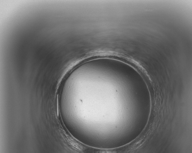 X0000059811175200510281657