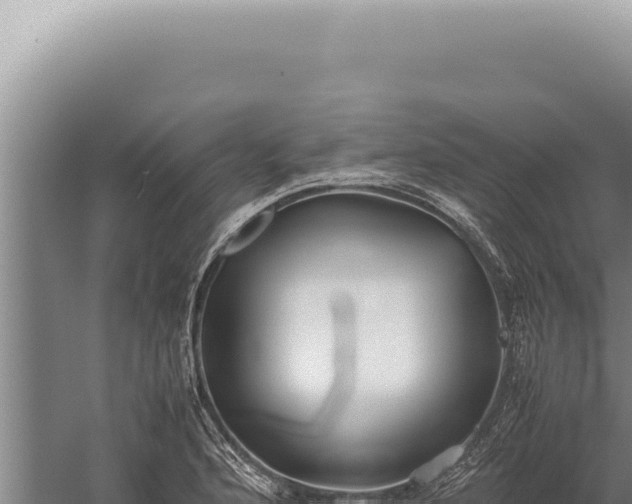 X0000059811176200510281657