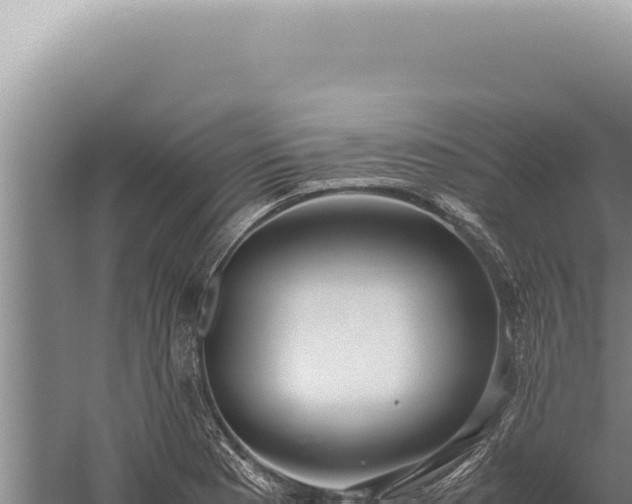 X0000059811177200510281657