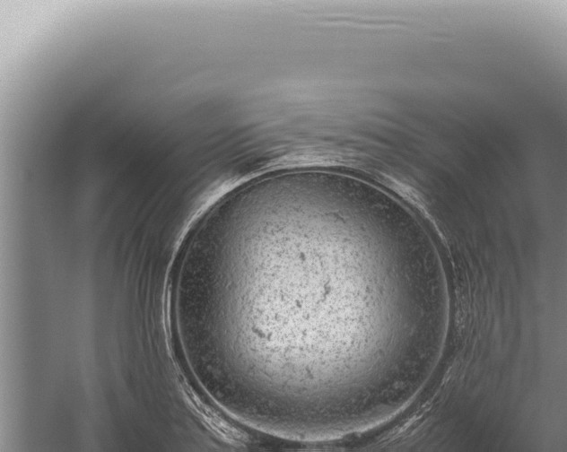 X0000059811179200510281657