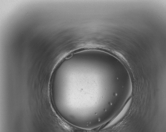 X0000059811183200510281657