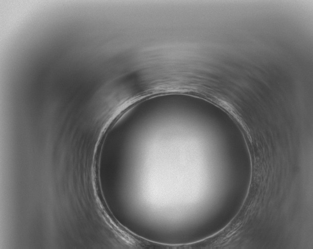 X0000059811187200510281657