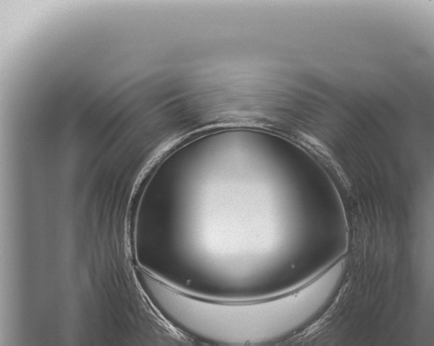 X0000059811188200510281657