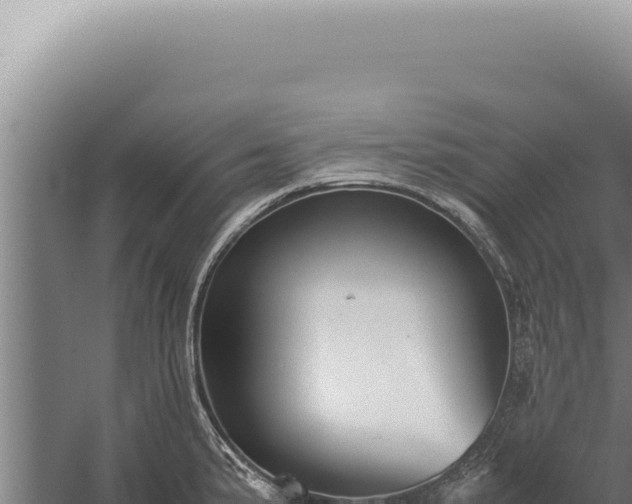 X0000059811191200510281657