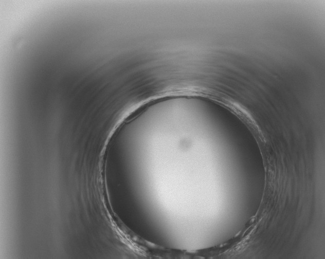 X0000059811192200510281657