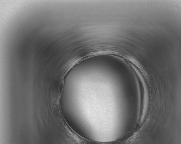 X0000059811193200510281657