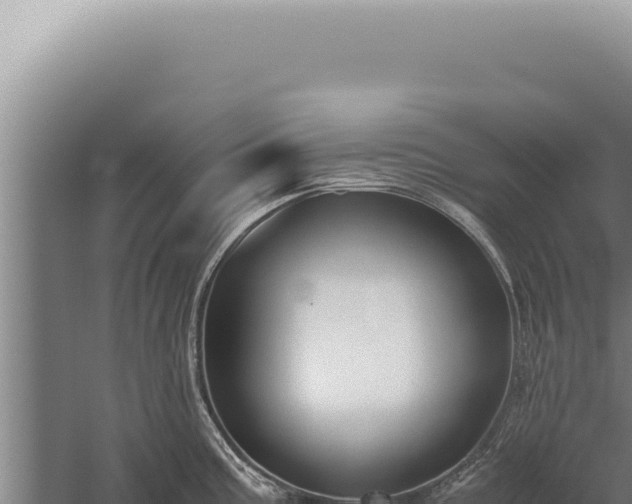 X0000059811195200510281657