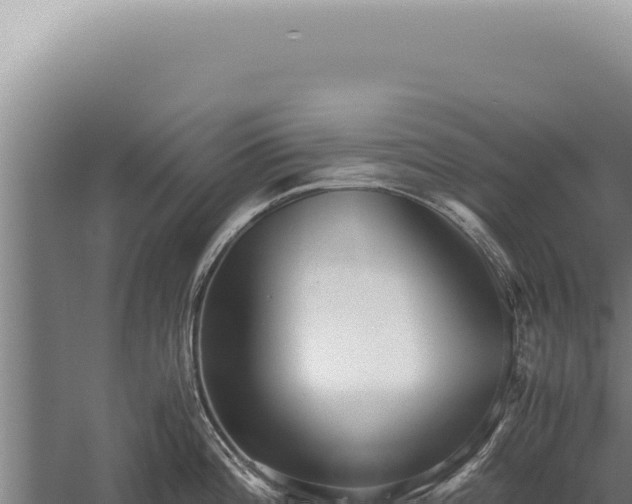 X0000059811196200510281657