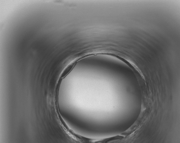 X0000059811197200510281657