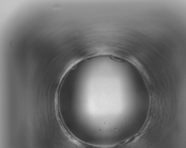 X0000059811198200510281657