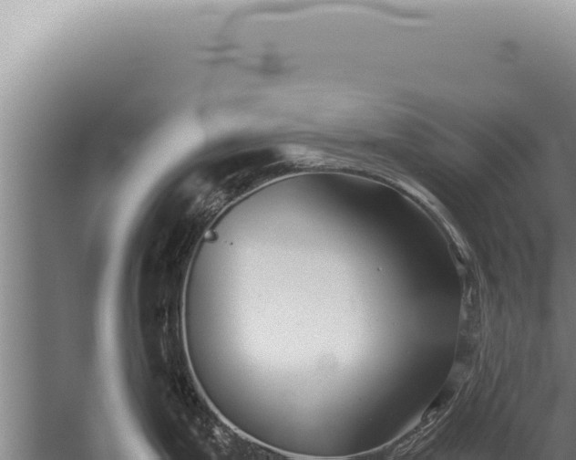 X0000059811199200510281657