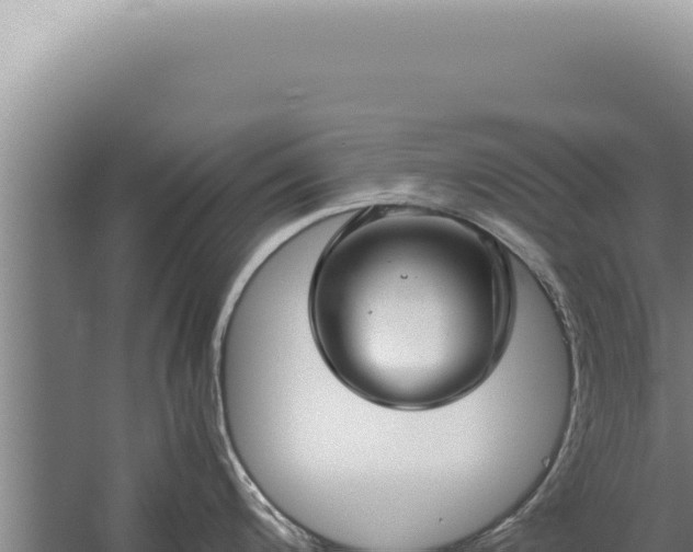 X0000059811200200510281657