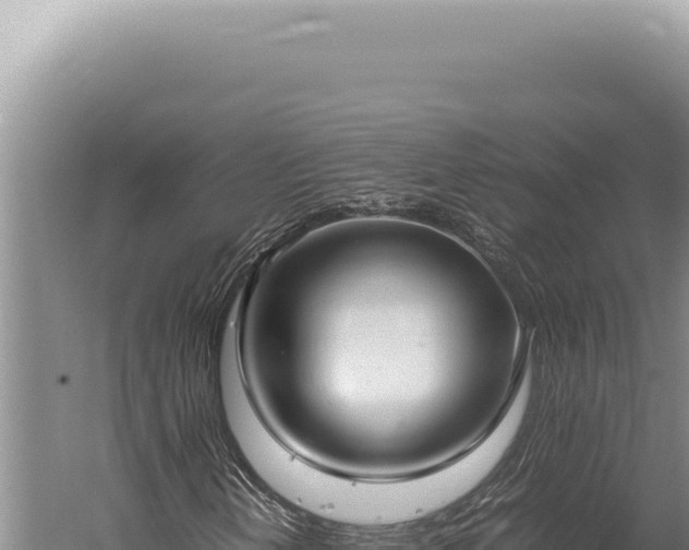 X0000059811202200510281656