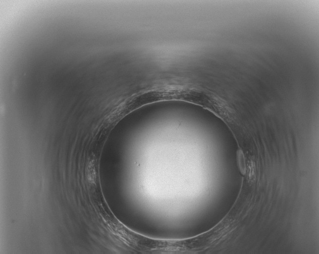 X0000059811204200510281656