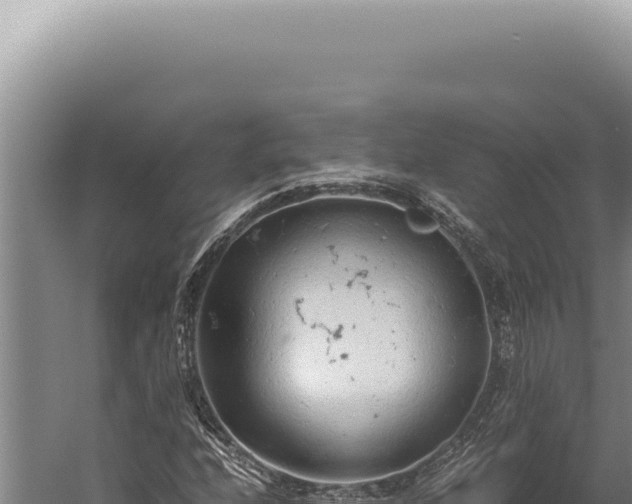 X0000059811208200510281656