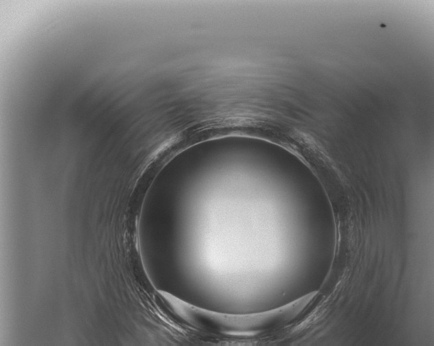 X0000059811210200510281656