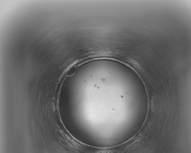 X0000059811212200510281656