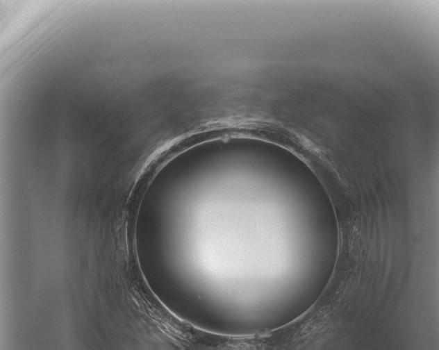 X0000059811214200510281656