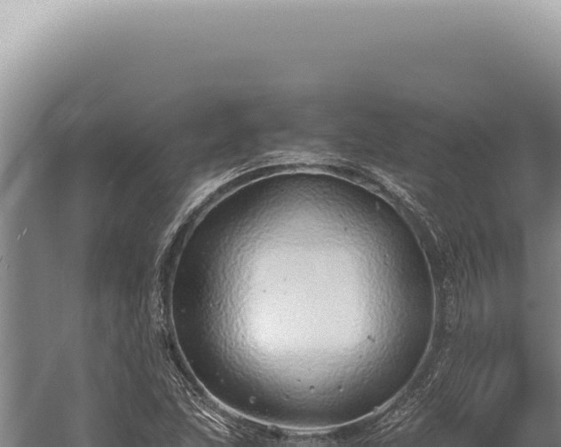 X0000059811215200510281656