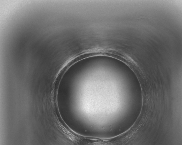 X0000059811216200510281656