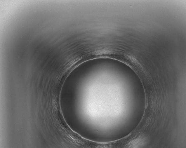 X0000059811217200510281656