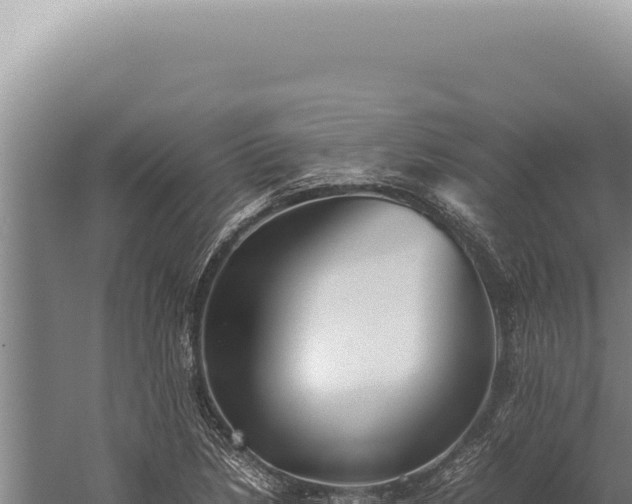 X0000059811218200510281656