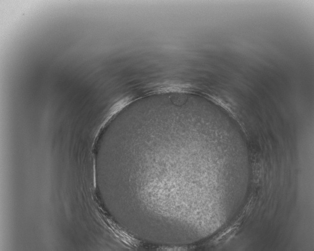 X0000059811219200510281656