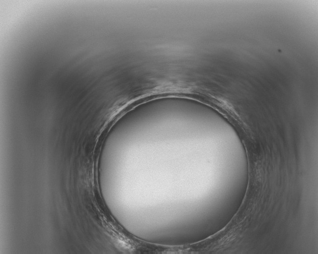 X0000059811220200510281656