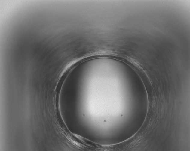 X0000059811222200510281656