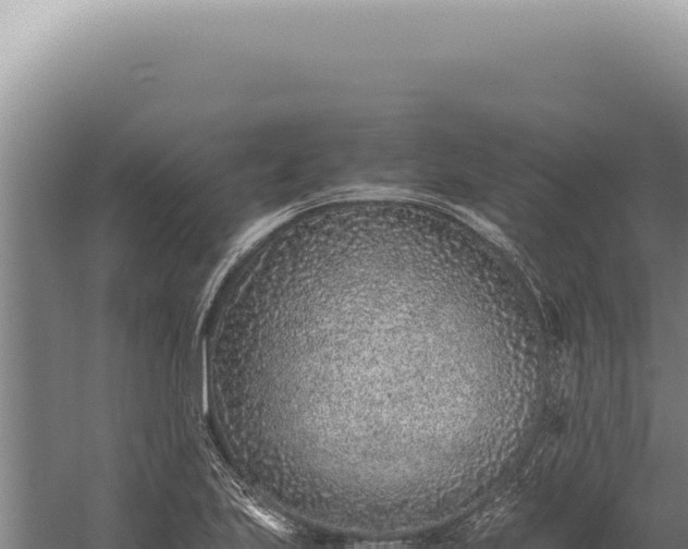 X0000059811223200510281656