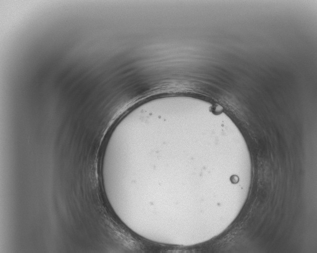 X0000059811226200510281657