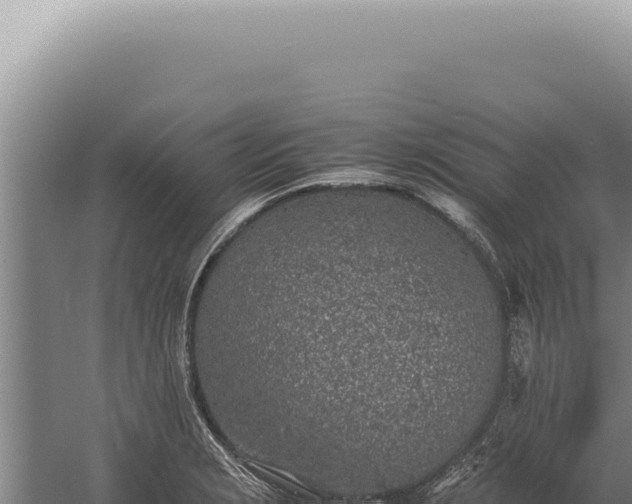 X0000059811229200510281657