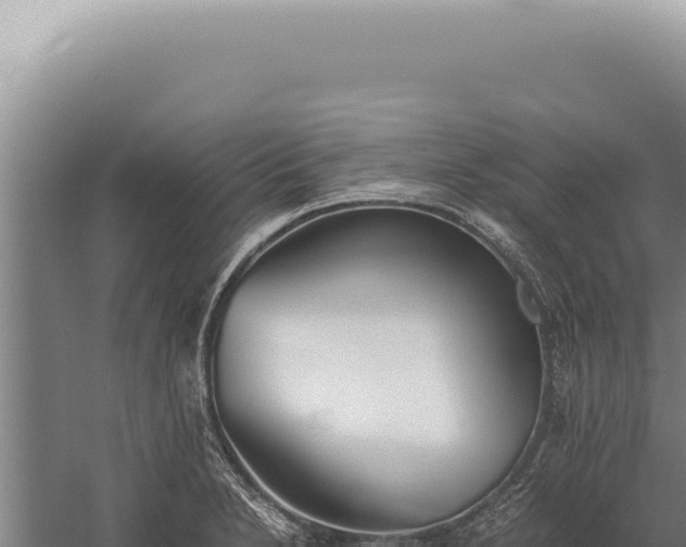 X0000059811230200510281657