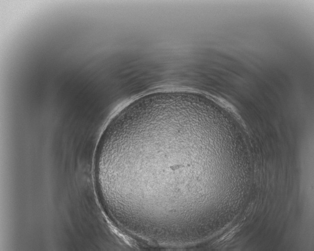 X0000059811231200510281657