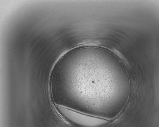 X0000059811240200510281657