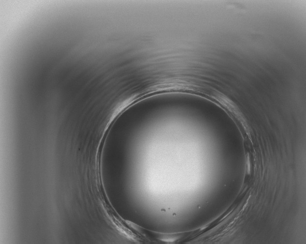 X0000059811242200510281657