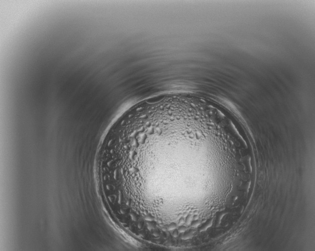 X0000059811243200510281657