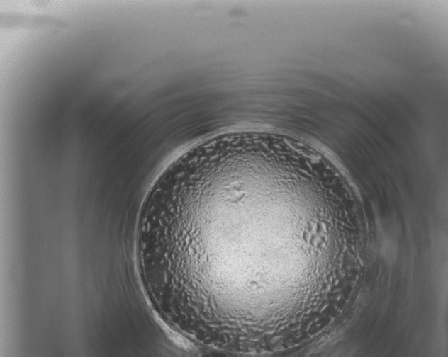 X0000059811245200510281657