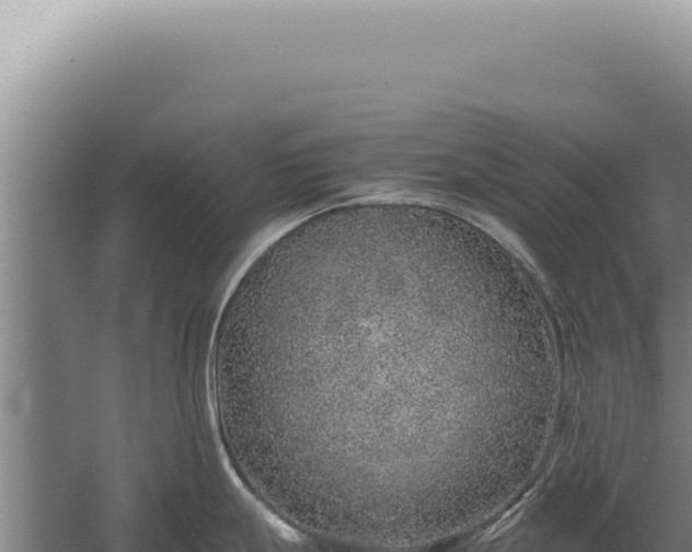 X0000059811247200510281657