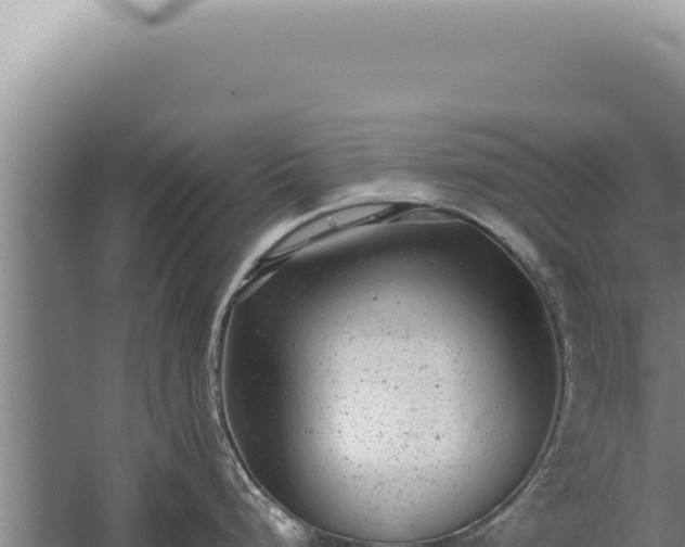 X0000059811248200510281657